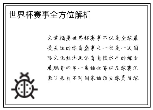 世界杯赛事全方位解析